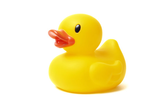 Duck Logo